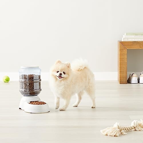 Amazon Basics Gravity Pet Food Feeder for Dogs and Cats, Easy to Clean, Easy to Fill, Removable Lid, 152fl.oz Capacity, Small - size: Small, style: Feeder