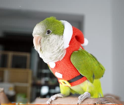 Bird Clothes Birds Flight Suit, Christmas Hoodie for Parrots Cockatiel Sun Conure Christmas Party Cosplay Photo Prop Bird Shirt Small Animals Apparel (Without Diaper,Amazon) - size: Amazon