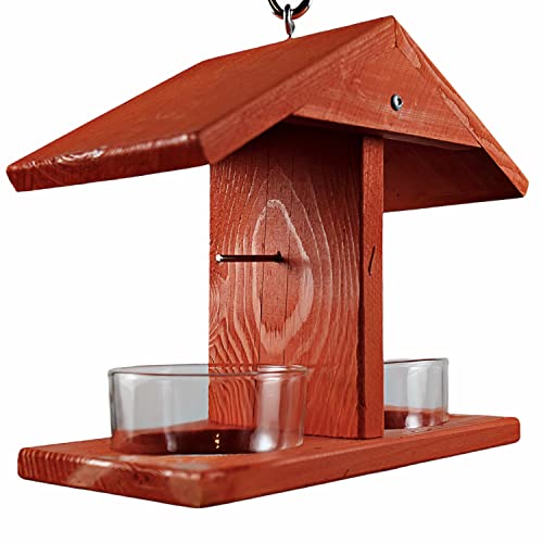 Double Fruit and Jelly Bird Feeder | Wood Roof Keeps Food Dry - 2 Prongs for Orange Halves - 2 Glass Jelly Cups, Sold Separately