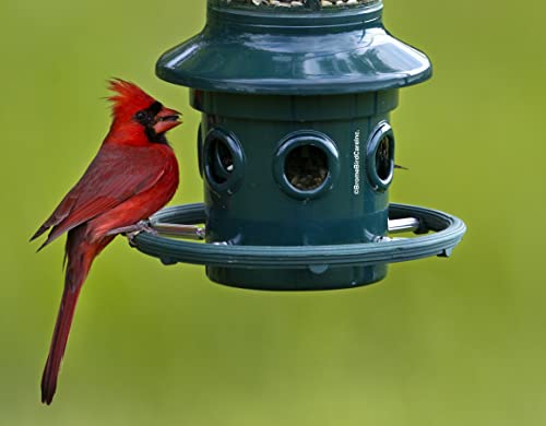 Squirrel Buster Plus Squirrel-proof Bird Feeder w/Cardinal Ring and 6 Feeding Ports, 5.1-pound Seed Capacity, Adjustable, Pole-mountable (POLE ADAPTOR SOLD SEPARATELY), Green | Cardinal ring, six ports, weight adjustment, pole-mountable, adapter sold sepa