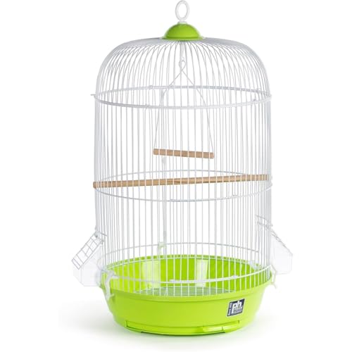 Maykoosh Artisanal Attic Small Round Bird Cage with Graceful Design, Durable Metal Construction, Compact Size, and Comfortable Space