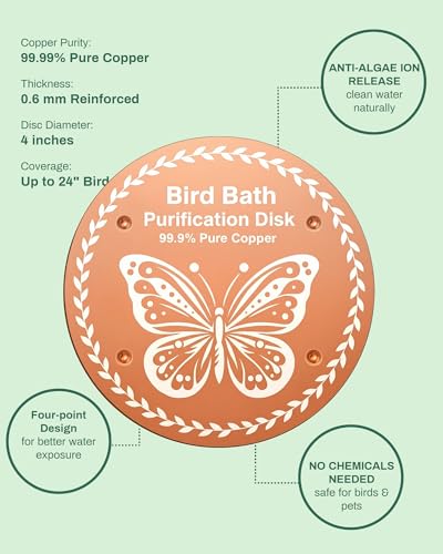 OICEME Bird Bath Purification Disk Pure Copper Outside Solar Power Wild Hummingbird Hanging Bowl Metal Warmer Humming Cleaner Pedestal Outdoor Feeder Cage Dispenser Women Gift - color: 1 pcs Copper Butterfly