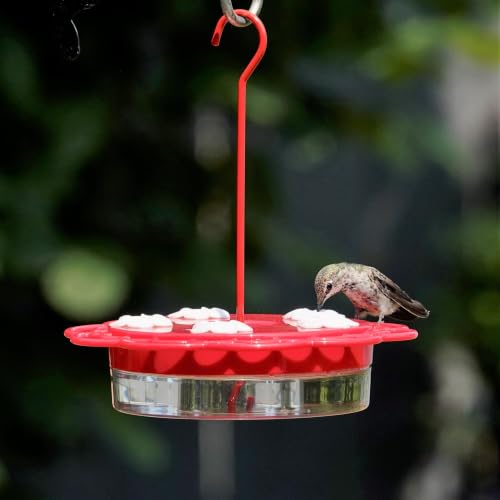Nature's Way Plastic Hummingbird Feeder for Outdoor Decor, Hanging Feeder and Window Feeder, 13 Ounce Capacity Nectar Feeder, 5 Easy to Clean Flexible Ports, Red