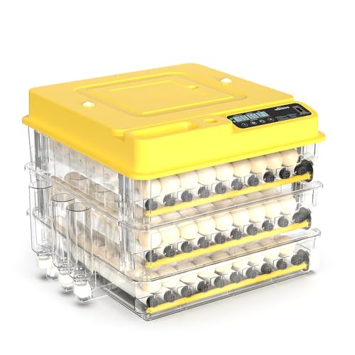 216 Egg Incubator for Hatching Eggs, Fully Automatic Egg Incubator with Auto Temp/Water/Turning, for Chicken Duck Goose Quail Pigeon Turtle Eggs, Humidity Control by Bottles, 360° View Clear Window - size: 216-EGGS