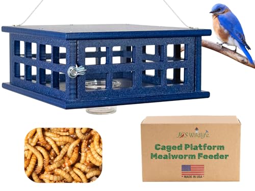 Recycled Poly Lumber Caged Platform Bluebird Feeder (Blue) - color: Blue/Blue
