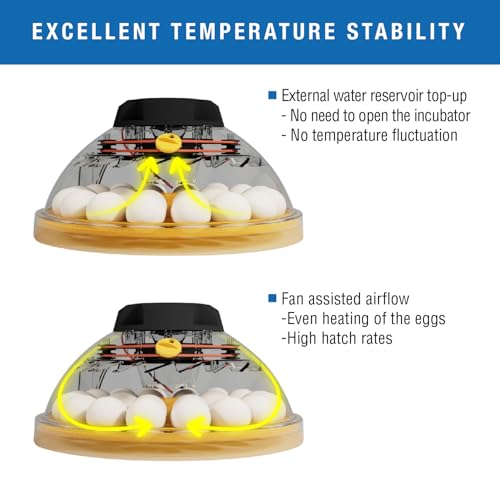 Brinsea Maxi 24 EX Connect Fully Automatic Smart Egg Incubator with App | 50+ years of innovation! Ultimate smart incubator with app-driven controls and real time alerts gives you total peace of mind
