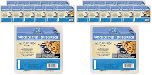Heath Woodpecker Suet Cake,5.2in,10oz - Blend Attracts Woodpeckers & Songbirds,No Melt,(Pack of 24) - size: 10 Ounce (Pack of 24)