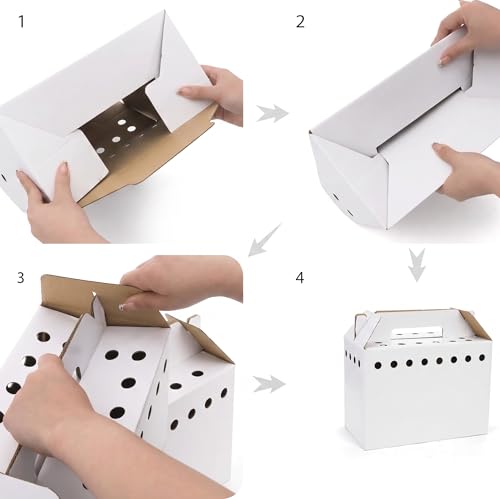 15 Pack Cardboard Pet Carrier Box for Small Pets, 11 x 8 x 6 Inch Disposable Corrugated Small Animals Travel Box with Ventilation & Handle for Chickens, Chicks, Birds, Hamsters & Reptiles