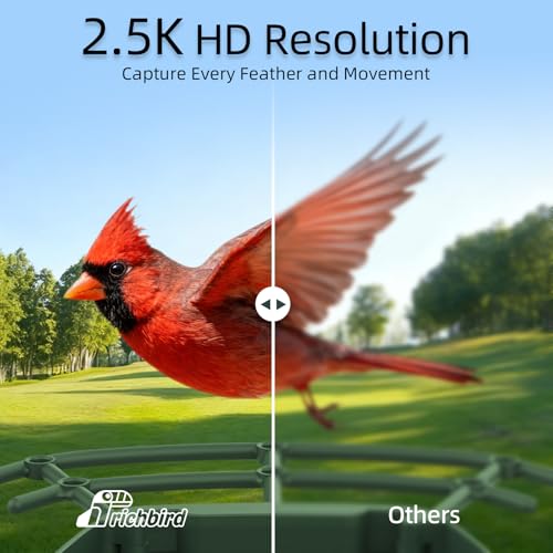 Smart Bird Feeder with Camera Solar Powered, 2.5K UHD Birdwatching Cam | Free AI Bird Identification, Instant Notifications & Auto Video Capture, 2.4G Wireless Outdoor Cam, for Mom Dad Birdlovers - color: Geen