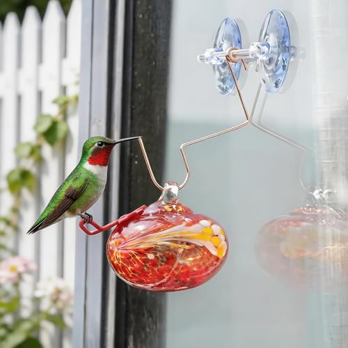 Glass Window Hummingbird Feeder with Suction Cup for Attracting Hummingbird - color: 1Pcs-Red