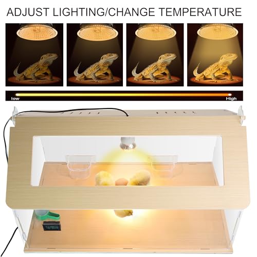 Newborns Chick Brooder Box Quail Cage Bird Playground Chick Starter Kit | 25~40 Small chicken coop Baby chicken supplies Baby chicken cage Brooder box for chicks