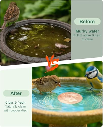 OICEME Bird Bath Purification Disk Pure Copper Outside Winter Solar Power Birdbath Hummingbird Bee Water Fountain Window Feeder Stand Nectar Food Pole House Hanging Birdhouse Small Large Accessories - color: Copper 2PCS Flowers