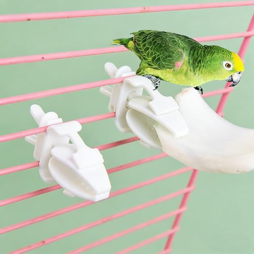 10 Pieces Millet Holder for Bird Cages, White Plastic Fruit, Vegetable, Snacks Food Feeder Clips Cuttlebone Holder for Small Bird Parrot Parakeet Budgie Cockatiel Conure Cockatoo Macaw Cage Accessorie - color: White