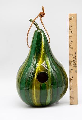 Green Striped Gourd Birdhouse, Hand Dyed Emerald Ink, 9–11 Inch Natural Gourd, 1.5" Entrance Hole for Wrens & Chickadees, Hanging Outdoor Bird House, Handmade Garden Decor