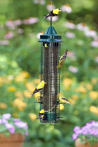 Squirrel Buster® Nyjer® – Squirrel-Proof Nyjer®/Thistle 2.4-pound Seed Capacity Feeder w/8 Feeding Ports & 4 Perches, Easy Fill & Clean, Durable Outdoor Feeder for Finches, Goldfinches & Small Birds | Eight ports, four perches, easy-fill design, UV-resist