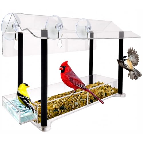 Window Bird Feeder with Strong Suction Cups, Clear Acrylic Window Mounted Bird Feeder, Weather-Resistant, Durable, Squirrel-Resistant, Column Style - size: Column