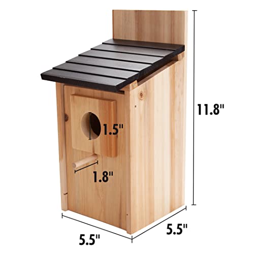 CARTMAN 0.5 Inch Thick Blue Bird Box House, Wood Bird Houses for Outside, Hummingbird House for Outside Clearance Garden Country Cottages, 2PK - style: Mailbox 2pk