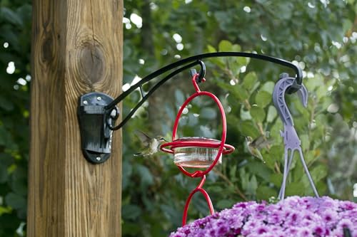 BirdsUP Hanging Bracket for Bird Feeders, Planters, Chimes, Heavy-Duty, Holds up to 25 lbs, 2 Hooks with Rubber Bumpers, Black, Screws Included