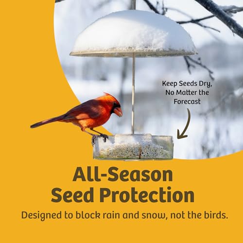 Birds Choice Bird Feeder Dome with Hanger | 10.5in Rain Guard Cover, Clear | Domed Acrylic Outdoor Weather Guard for Hanging Feeders to Keep Seed Dry, Heavy-Duty Chrome-Plated Hanger and Hook - color: Clear