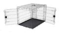 Amazon Basics Portable, Collapsible Metal Wire Dog Crate with Removable Tray, Double Door, Easy to Assemble, Divider Panel for Large Dogs, 42" x 28" x 30", Black - size: 42.0"L x 28.0"W x 30.0"H, style: Double Door w/ Divider