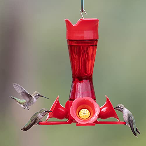 Perky-Pet 203CPBR Pinch-Waist Red Glass Hummingbird Feeder with Perches, Built-in Ant Moat and Bee Guards - Outdoor Garden Decor, Unique Gifts