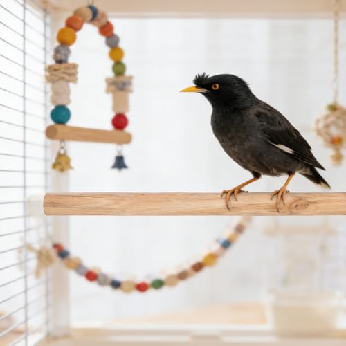 Kisangel Bird Cage Perches 5 Pack Natural Wood Parrot Perch Set with Built-in Bolts and Wing Nuts Claw Grinding Stand Toys for Parakeet Cockatiel Budgie Finch 11.81In Length