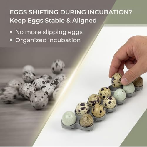 SplashNColor Quail Egg Tray Compatible with Maticoopx 20 Egg Incubator - Coturnix Quail Egg Rack - Compatible with Small Egg Incubators - Durable Egg Turner Accessory - 14 Slots - ABS White (1 Pack)
