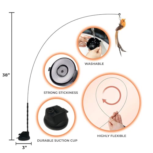 Whiskertons Interactive Bird Simulation Cat Toy Set, Interactive Cat Toys for Indoor Cats, Cat Feather Toy, Self-Holding Suction Base, 5 Replacement Birds, Feathers & Bells, Realistic Bird Impression