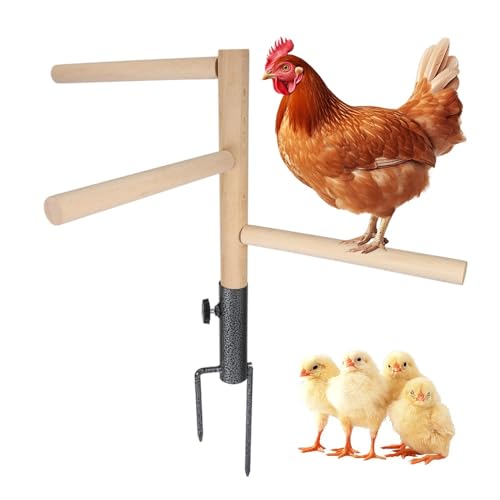 Kalekey Chicken Perch Toy for Coop, Chicken Perch Stand Wooden with Metal Ground Plug, Roosting Bar for Chicken Coop Toys, Suitable for Poultry Rooster Chicks Bird Parrot