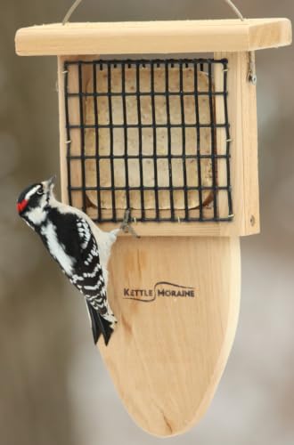 Cedar Single Cake Tail Prop Suet Bird Feeder with Hanging Cable