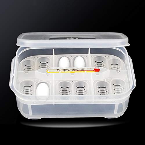 OMEM Reptile Breeding Box, Reptile Egg Incubators, Hatchery Box, for Hatching Gecko, Lizards, Lions Mane, Reptiles (Thermometer, Transparent Box) - size: No Thermometer