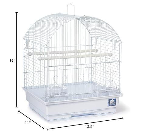 Prevue Pet Products Parakeet Starter Cage Kit with Toys, Perches, Cups, Removable Grill and Pullout Tray