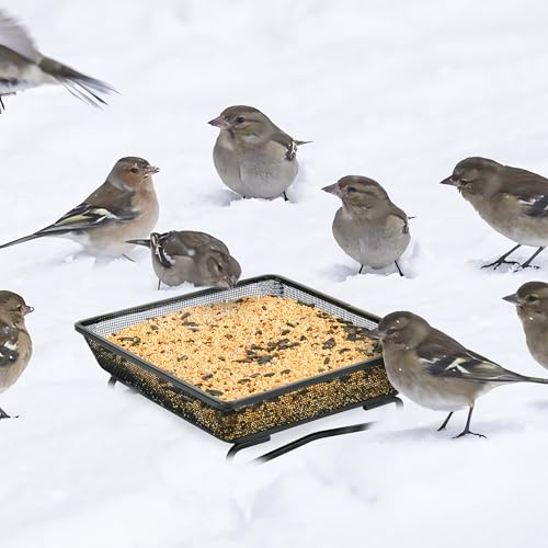 4 Pcs 7x7 Inch Metal Ground Bird Feeder Tray – Rust-Resistant Platform Feeders for Wild Birds and Squirrels – Outdoor Use in Garden, Lawn, or Patio - size: Square - 4 Pcs