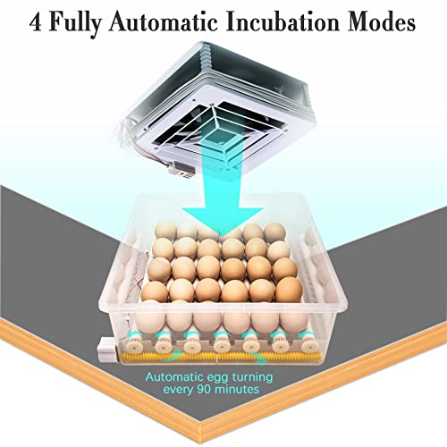 Incubators for Hatching Eggs, Egg Incubator with Automatic Egg Turning and Humidity Control, Egg Incubator for Chicken Quail Duck Pigeon Eggs(36 Eggs)