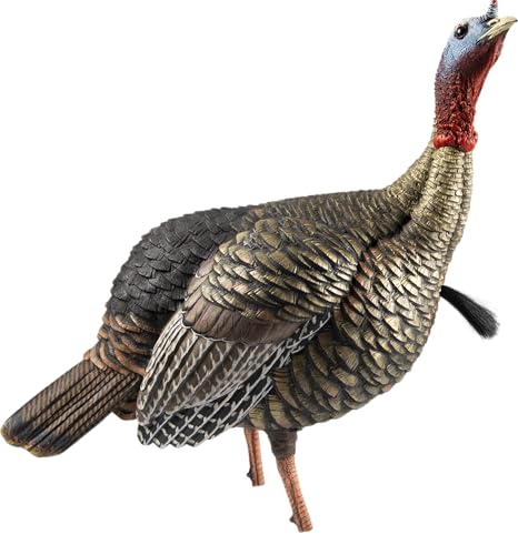Avian-X LCD Feeder Hen Turkey Decoy with X-Factor Motion System – Realistic Lifelike Collapsible Standing Turkey, Durable Design, Carry Bag & Collapsible Stake for Hunting - style: HDR Jake