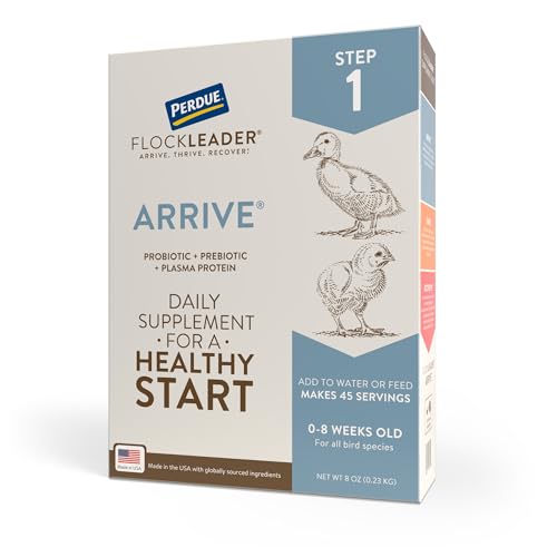 Arrive, Daily Poultry Supplement for Baby Chicks 0-8 Weeks, 8oz | A daily supplement for young poultry 0-8 weeks old with probiotics, prebiotics & plasma proteins for a healthy start. - color: FlockLeader Arrive, size: 8 Ounce (Pack of 1)