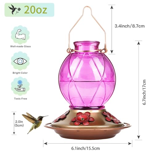 Hummingbird Feeders for Outdoors Hanging, Glass Hummingbird Feeder, Wild Bird Feeder with Five Feeding Ports, 20 Ounces, 2 Pack, Purple and Blue, Birthday Gifts for Women Men, Gifts for Mom Dad
