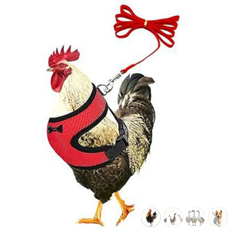 Chicken Harness,Duck Harness and Leash Set Adjustment Mesh, Red S | breathable mesh harness,adjustable straps,sturdy leash,fit chicken,duck,goose,rooster,parrot,kitten,tiny dog training walking - color: Red, size: S (Chest 12.6-17.7")
