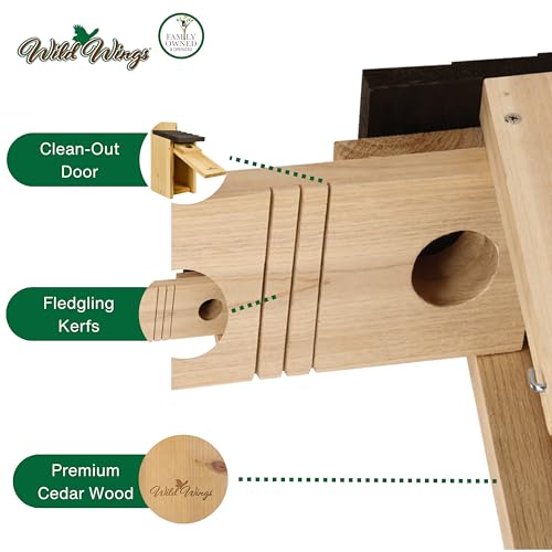 Wild Wings WWCH3 Cedar Blue Bird Box House,(Pack of 4) - size: Bluebird Box House (Pack of 4)