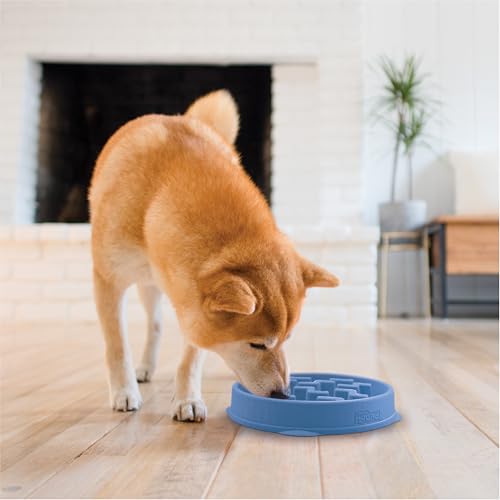Outward Hound Fun Feeder Slo Bowl – Medium 2‑Cup Capacity, Slow Feeding, Small to Medium Dogs & Cats, Non-Slip, Blue, Notch Pattern - color: Blue, size: Medium