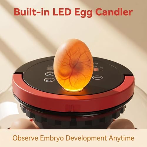 Incubators for Hatching Eggs with 1080P HD Night Vision Camera - Automatic Egg Turning & Humidity Control, 360° Visibility Incubators for Hatching Eggs, Compatible with Chicken, Duck, Quail, Pigeon.