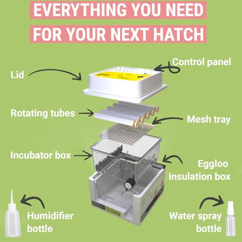 OBI-36 Egg Incubator for Hatching - 36 Eggs - Stable Temperature & Humidity Control with Eggloo Insulation, Candler - Ideal for Families and Farms - Suitable for Chicken, Duck, Quail Eggs - color: Yellow