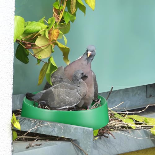 Balacoo 10 Pcs Pigeon Nest Bowls, Durable Plastic Dove Nesting Box with Pad | Breathable Washable Quail Nest, Bird Egg Rest Beds for Doves, Pigeon, Quails & Small Birds - Bird Cage Supplies (Green)