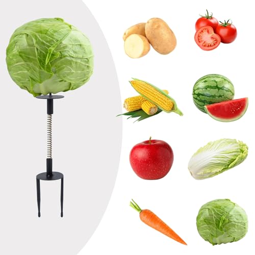 Spring Chicken Treat Toys – Wobbly Vegetable Feeder with Ground Stake for Hens, Ducks & Poultry | Interactive Coop Enrichment with Metal Fork & Spring