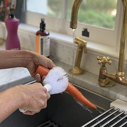 Fox Run Vegetable Cleaning Brush with Handle, Produce & Potato Scrub Brush | Long Lasting Bristles | Vegetable Brush Scrubber For Food | Easy To Store & Dishwasher Safe | Quickly Clean Produce & Veggies - style: Vegetable