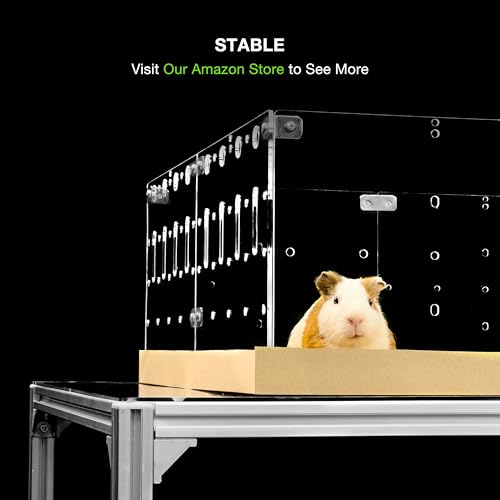 GuineaLoft™ Model-A2 Acrylic Guinea Pig Cage w/Translucent Gauze Lid | Supporting Beams & Connect/Roaming Doors, Large 4x2ft Expandable C&C Cage, Works Also For Bunnies, Button Quails, Hedgehogs - color: Model-A2