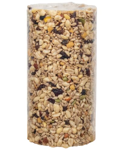 JCs Wildlife Woodpecker Blend Bird Seed Cylinder with Hole, Peanuts Pecans Pumpkin Seeds Berries, No Filler Wild Bird Food for Outside Feeders, Made in the USA, 1 Count (Pack of 2) - size: 1 Count (Pack of 2)