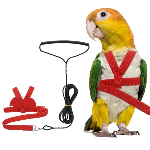 Bird Harness Leash, Adjustable Pet Parrot Bird Harness and Leash Lightweight Anti-Bite Flight Training Rope with Cute Wing, (Red, XS), Intended for Parrots/Pigeons/Budgies - color: Red, size: Extra Small