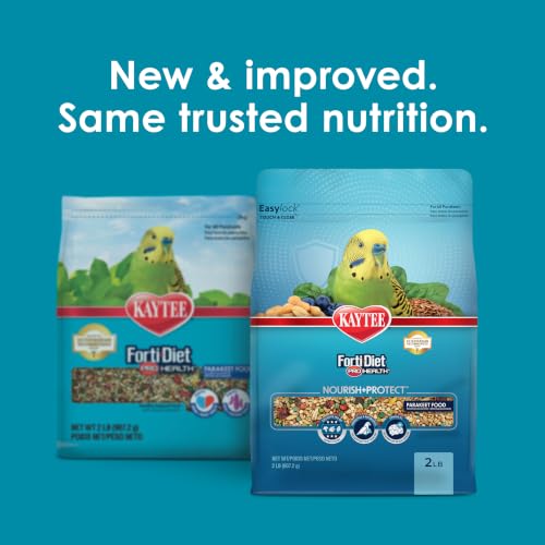 Kaytee Forti-Diet Pro Health Nourish+Protect Parakeet Food, 2 Pounds | Balanced digestion daily. Parakeet seed with superfoods. Prebiotics, probiotics, small bird food - size: 32 Ounce (Pack of 1)