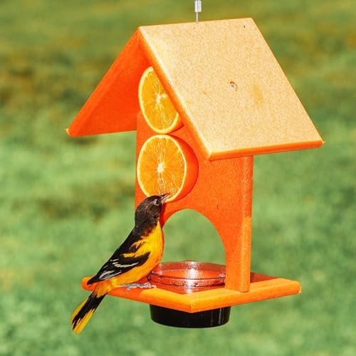SERUBFJF Fruit and Jelly Oriole Feeder (Set of 1)